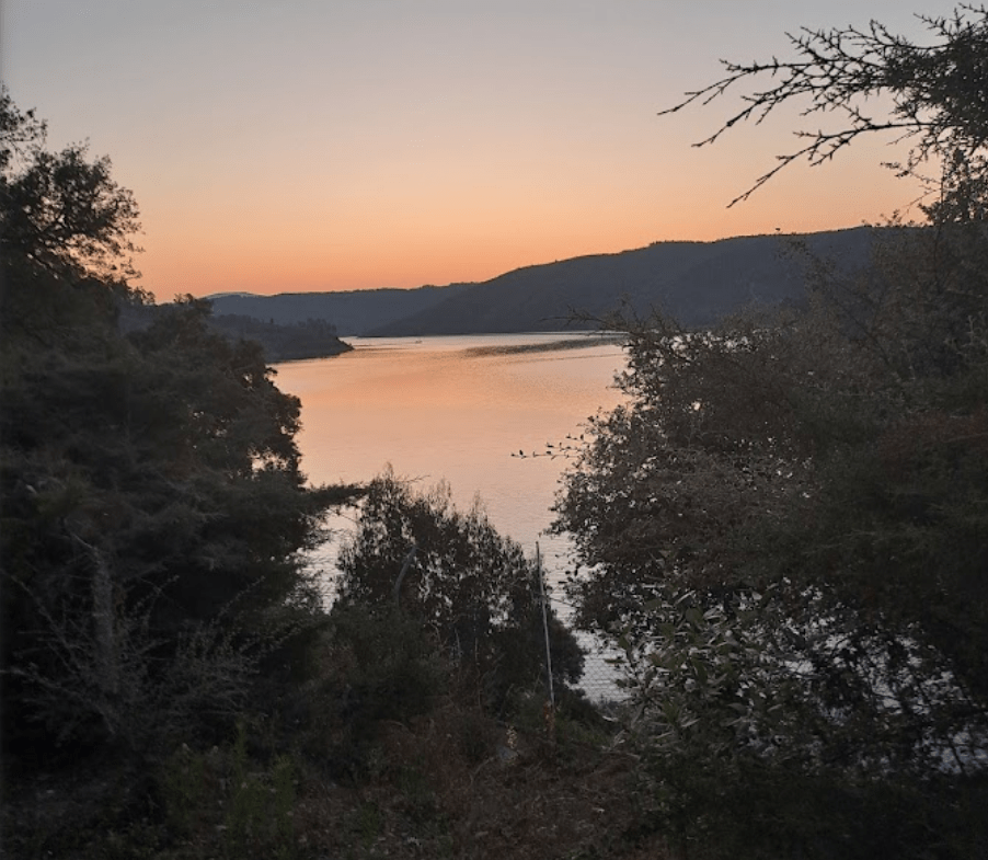 Living by the Lake – Traumgrundstücke am See in Zentralportugal