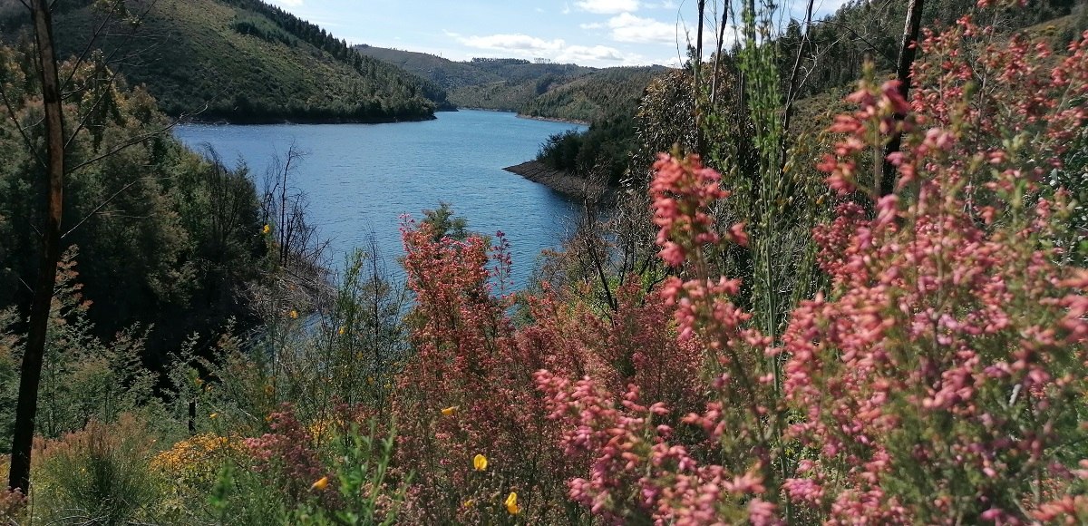 Living by the Lake – Traumgrundstücke am See in Zentralportugal